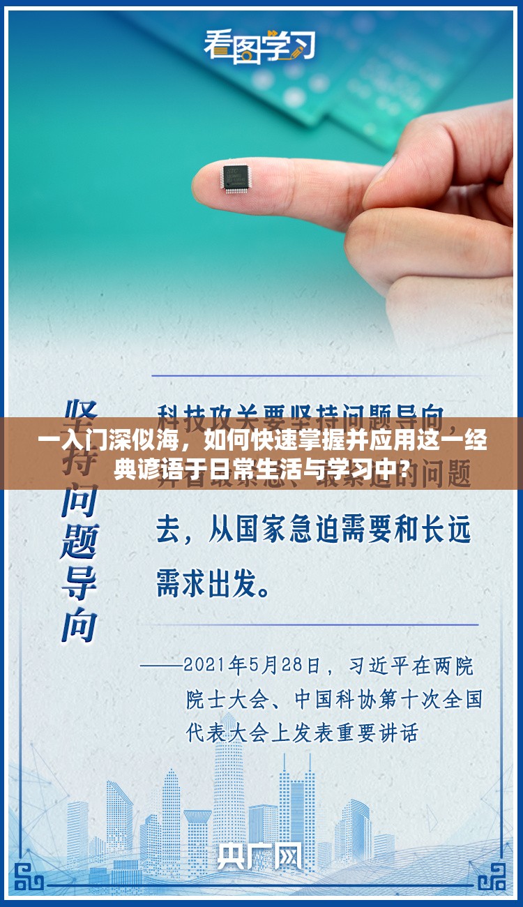 一入门深似海，如何快速掌握并应用这一经典谚语于日常生活与学习中？