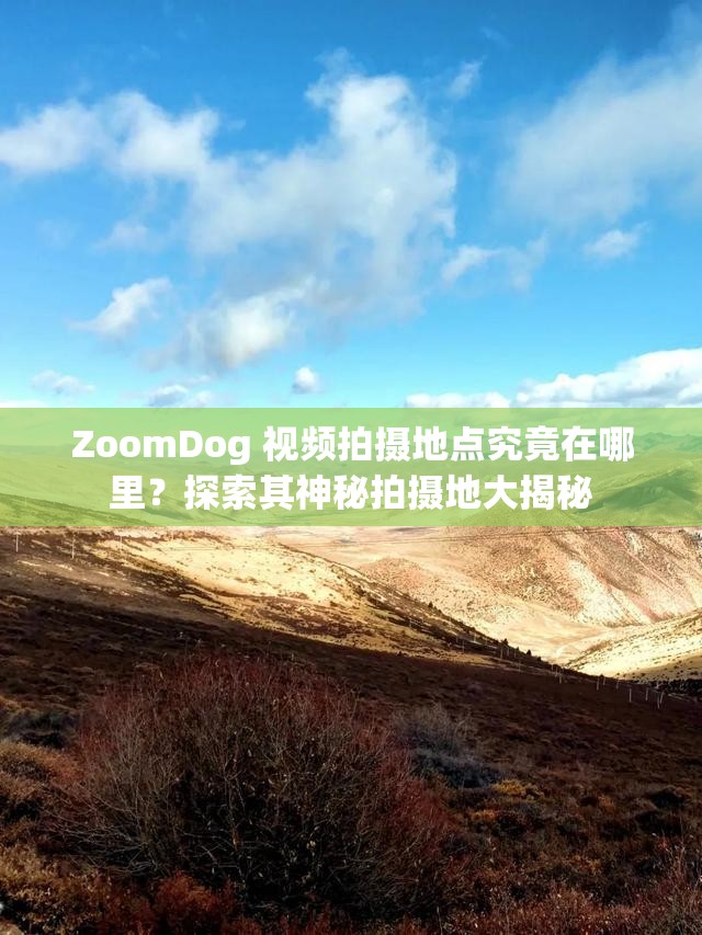 ZoomDog 视频拍摄地点究竟在哪里？探索其神秘拍摄地大揭秘