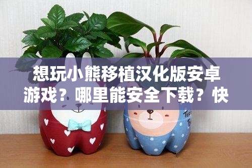 想玩小熊移植汉化版安卓游戏？哪里能安全下载？快来寻找答案或者：小熊移植汉化版安卓下载指南，你想知道的都在这里