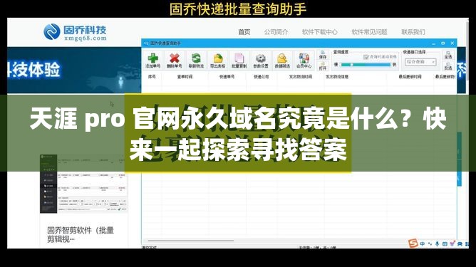 天涯 pro 官网永久域名究竟是什么？快来一起探索寻找答案