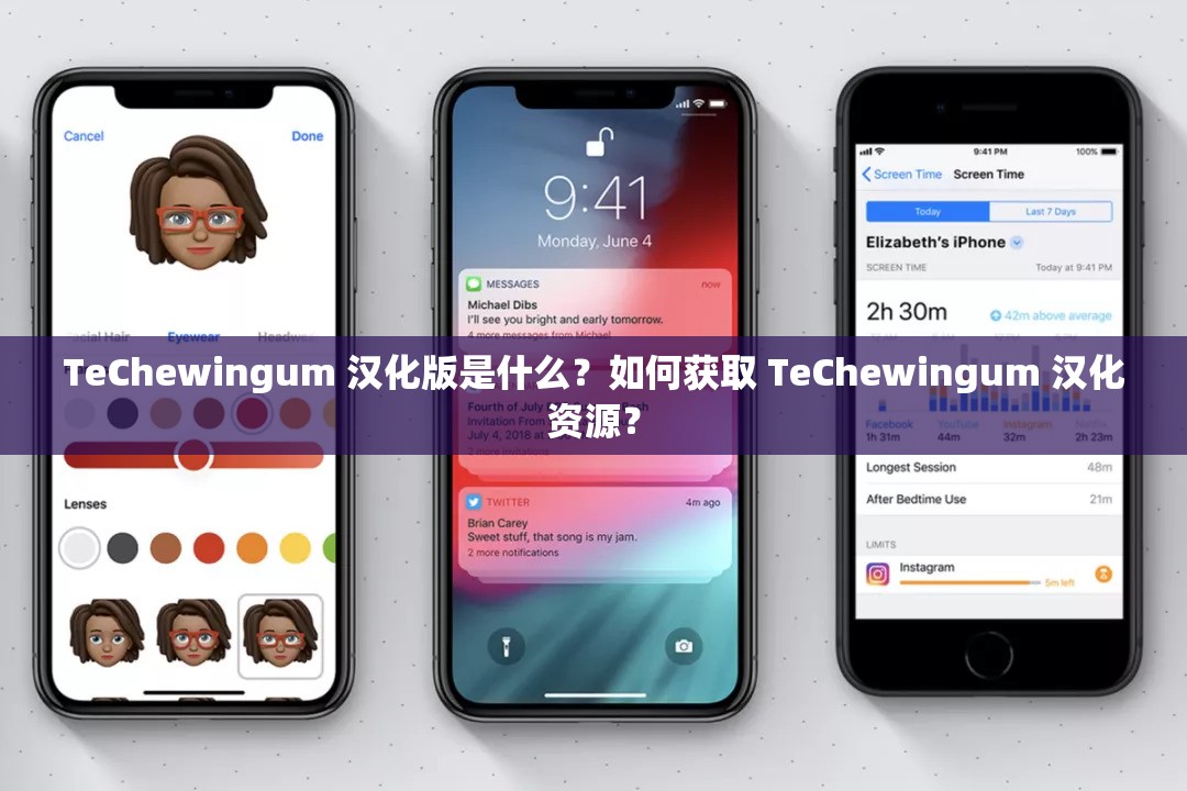 TeChewingum 汉化版是什么？如何获取 TeChewingum 汉化资源？