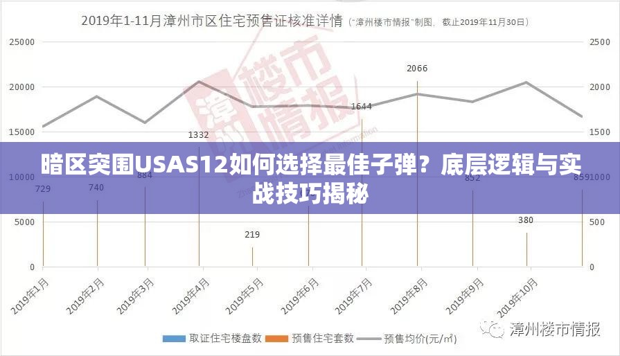 暗区突围USAS12如何选择最佳子弹？底层逻辑与实战技巧揭秘