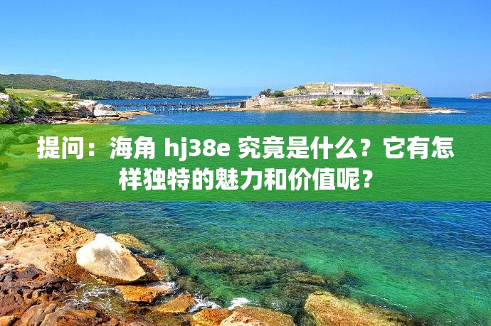 提问：海角 hj38e 究竟是什么？它有怎样独特的魅力和价值呢？