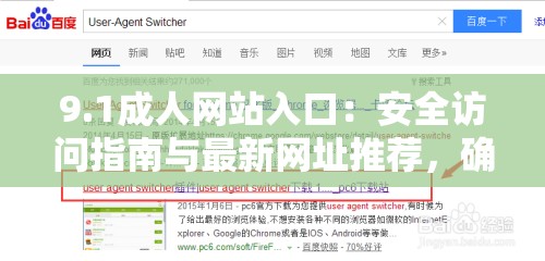9.1成人网站入口：安全访问指南与最新网址推荐，确保隐私与便捷体验
