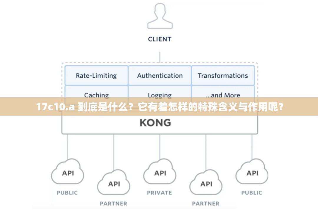 17c10.a 到底是什么？它有着怎样的特殊含义与作用呢？