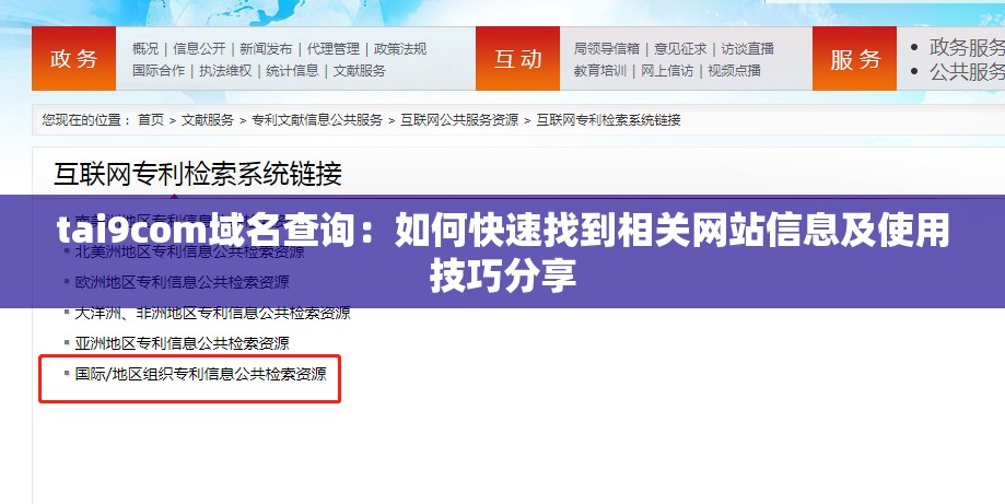 tai9com域名查询：如何快速找到相关网站信息及使用技巧分享