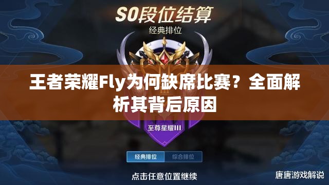 王者荣耀Fly为何缺席比赛？全面解析其背后原因