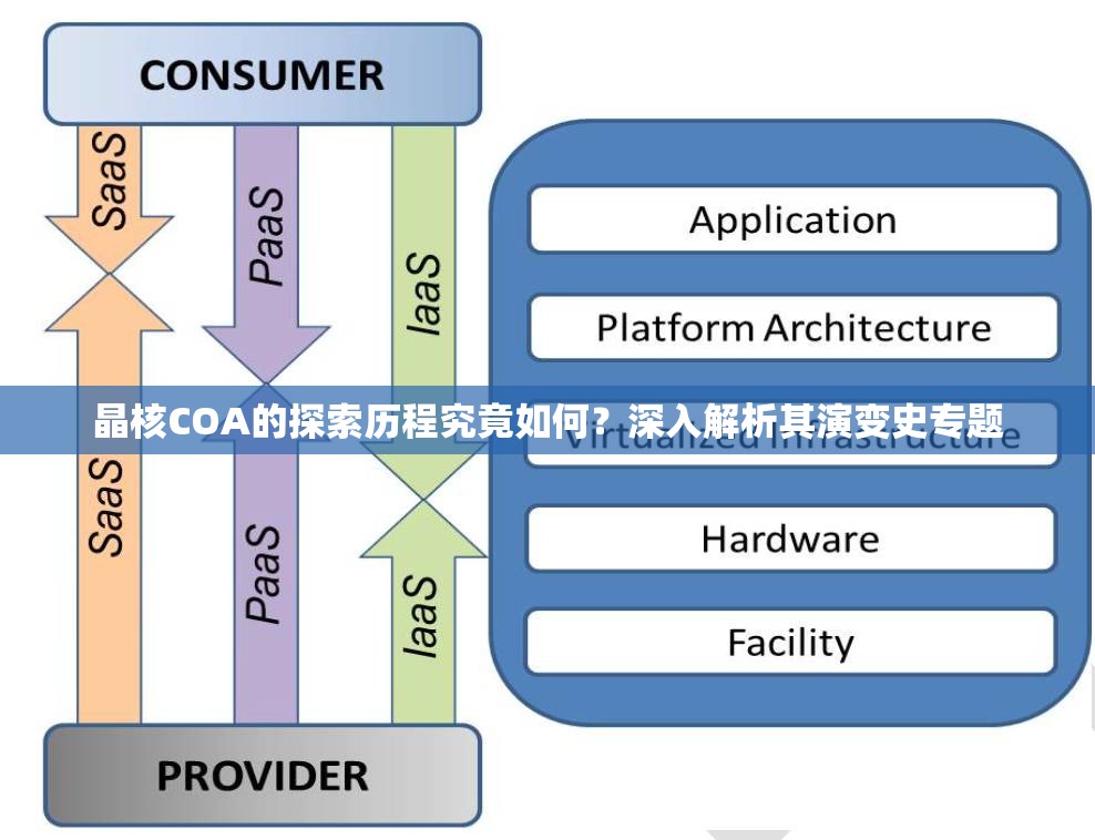 晶核COA的探索历程究竟如何？深入解析其演变史专题