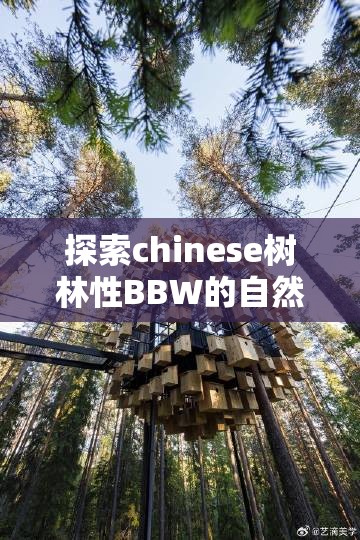 探索chinese树林性BBW的自然魅力：揭秘独特生态与美丽景观的完美结合