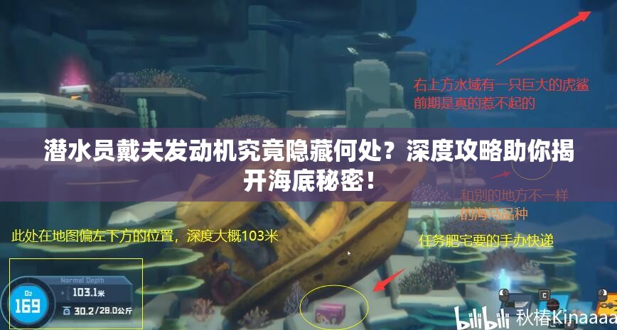 潜水员戴夫发动机究竟隐藏何处？深度攻略助你揭开海底秘密！