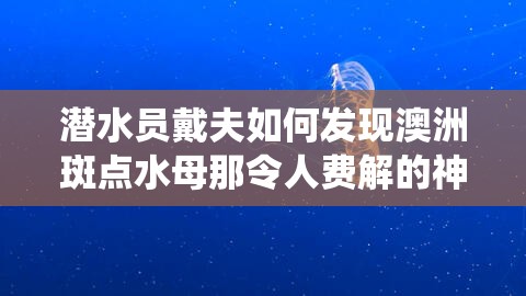 潜水员戴夫如何发现澳洲斑点水母那令人费解的神秘栖息地？