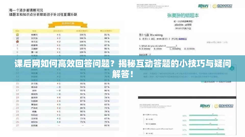 课后网如何高效回答问题？揭秘互动答题的小技巧与疑问解答！