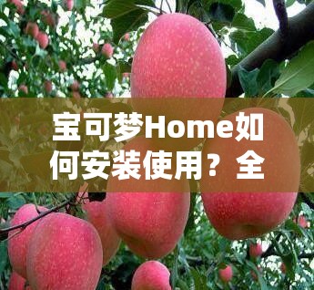 宝可梦Home如何安装使用？全面指南助你轻松上手解析