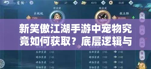 新笑傲江湖手游中宠物究竟如何获取？底层逻辑与实战操作全揭秘！